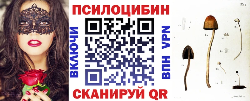 Псилоцибиновые грибы Cubensis Нижняя Салда