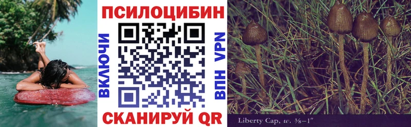 цены наркотик  Нижняя Салда  гидра   Галлюциногенные грибы MAGIC MUSHROOMS 